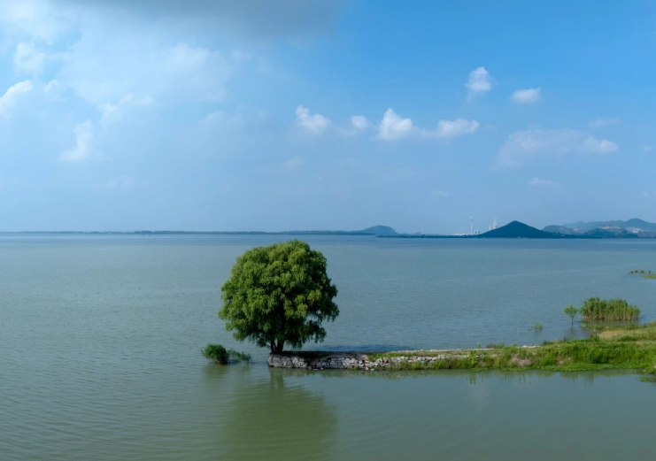 ���Ϲ�ľ��