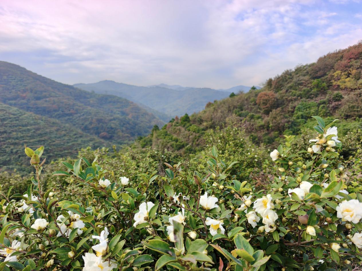 ����׻�ӳ�t�~��