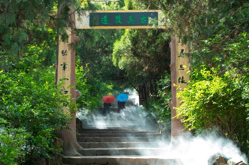 ���ʣ��ăx����