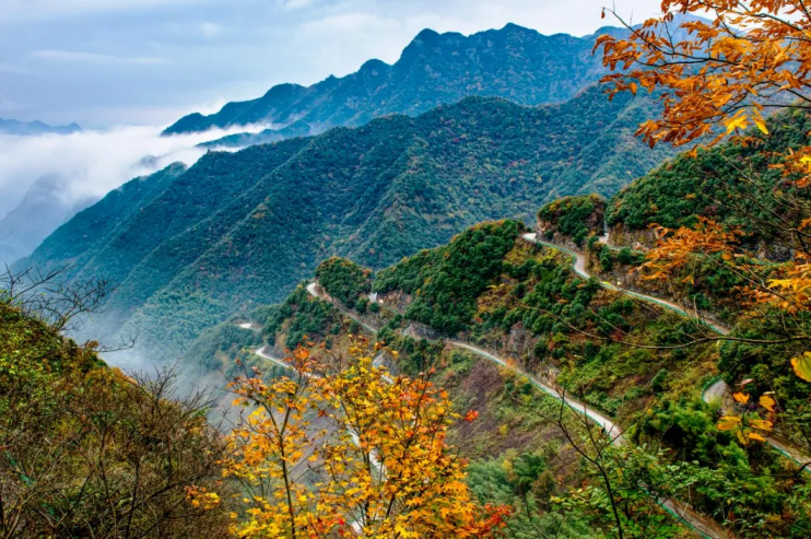 ���ϴ��ؾ���ɫ���ܿh��ͨ�\(y��n)ݔ�ֹ��D