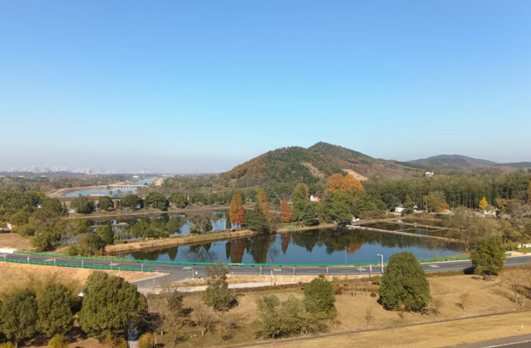 �V�����l(xi��ng)����