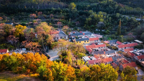 ˇ��?qu��n)l(xi��ng)Ұ�������Эh(hu��n)��