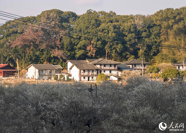 ��̩�h���X�(zh��n)�Ǯ�?sh��)غ����p÷�^(q��)֮һ������W ����t�z