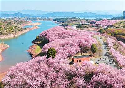 ���ճ����˄������M