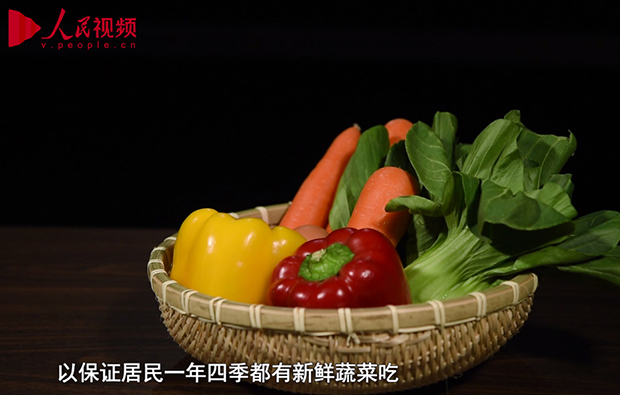 ����W(w��ng)��݋-�P(gu��n)�ڡ��״��ӡ����˻@�ӡ���׃�w