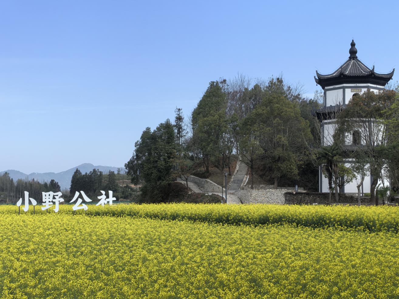 ��������ӳ�Ŵ���СҰ���繩