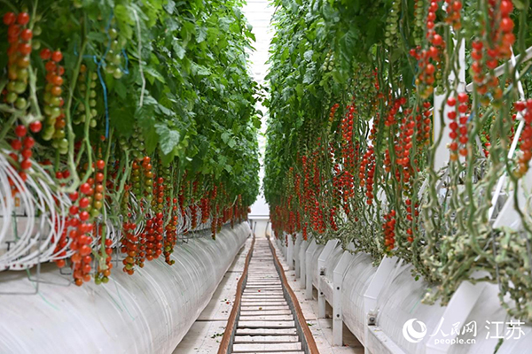 ���K���ݣ�ˮ�����ѡ�