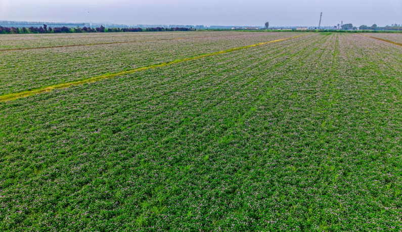 ����Ӣ�k���_(k��i)��