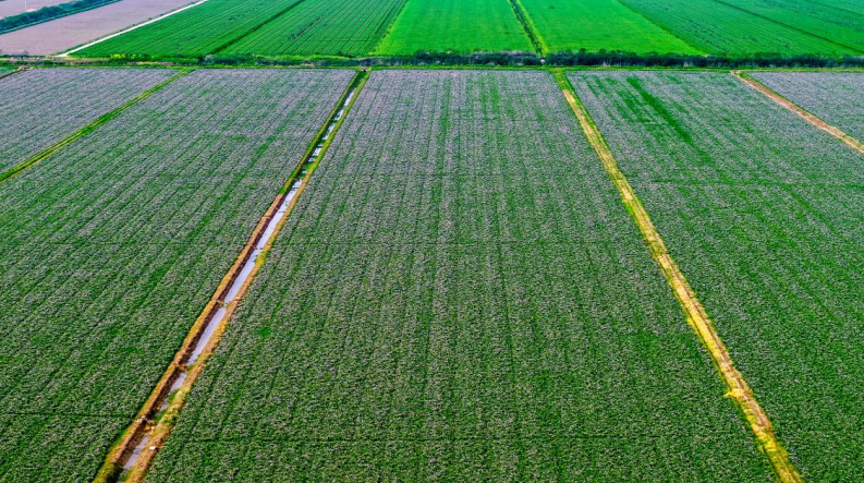 ����Ӣ�k���_(k��i)��