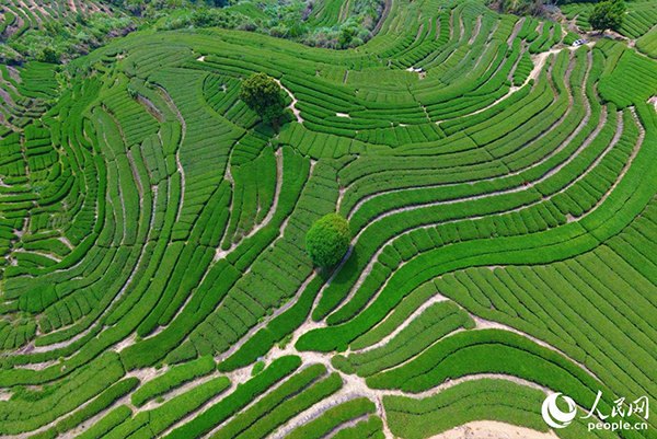 ������Ϫ����ɽ���¾G