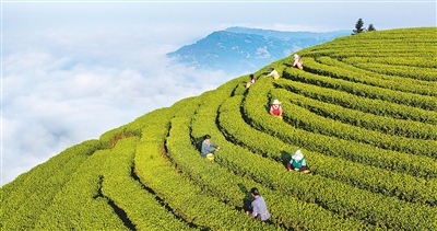 ���(gu��)�����R�^����С�